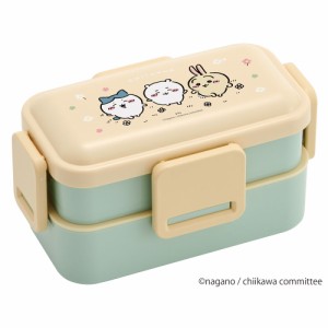 弁当箱 大人 子供 二段 仕切り 食洗機 レンジ 対応 小学生 600ml かわいい スケーター PFLW4AG 抗菌【レディース 4点ロック お弁当箱 ド