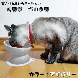 【ペット用品】陶器製 猫用食器●アイボリー（ホワイト）●//陶器 陶製 ねこ ネコ ペット用食器 大阪府立大学と共同開発// スケーター