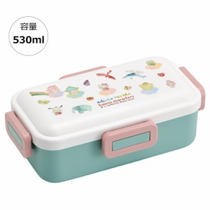 弁当箱 大人 一段 仕切り 食洗機 レンジ 対応 抗菌 日本製 容量 530ml スケーター PFLB6AG ロック【レディース ４点ロック お弁当箱 ドー