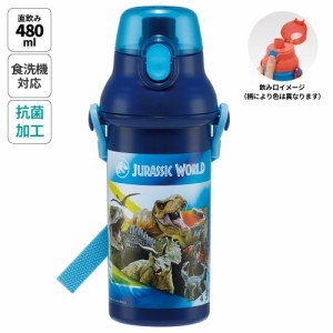 水筒 直飲み プラスチック 大容量 480ml 食洗機対応 キッズ 幼児 ワンタッチ skater スケーター PSB5SANAG ジュラシックワールド 24年 恐