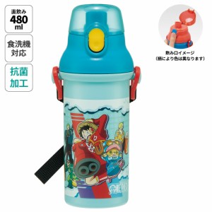 水筒 直飲み プラスチック 大容量 480ml 食洗機対応 キッズ 幼児 ワンタッチ skater スケーター PSB5SANAG ワンピース 24年 アニメ キャ