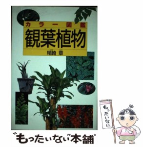 【中古】 カラー図鑑 観葉植物 / 尾崎 章 / 西東社 [単行本]【メール便送料無料】