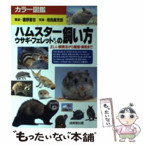 【中古】 ハムスター・ウサギ・フェレットなどの飼い方 正しい飼育法から繁殖・病気まで (カラー図鑑) / 霍野晋吉、相良真児郎 / 成美堂