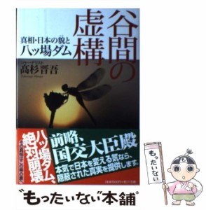 【中古】 谷間の虚構 真相・日本の貌と八 / 高杉 晋吾 / 三五館 [単行本]【メール便送料無料】