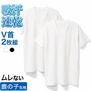 送料無料 ルクール鹿の子 V首 半袖 Tシャツ 2枚 セット メンズ 春夏 肌着 下着 インナー 消臭 吸汗 速乾 紳士 男性 綿混 Vネック 父の日 