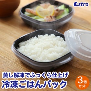 アストロ ザル付き 保存容器 3個組 日本製 抗菌 備長炭配合 余ったご飯 冷蔵・冷凍保存 電子レンジ ふっくら 蒸し器 密閉容器 510-47