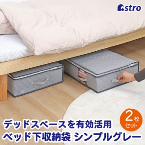 収納ケース 衣類収納 不織布製 2個組 ベッド下収納 収納袋 通気性良好 ほこり除け アストロ 611-63
