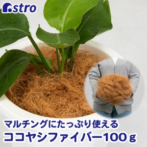 アストロ ココヤシファイバー 約100g ココファイバー マルチング 土隠し ココヤシ繊維 底石代わり 624-02