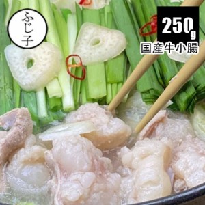 肉 牛肉 もつ鍋 国産牛ホルモン250g 牛小腸 真空 焼肉 博多 鍋