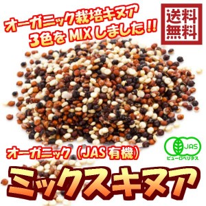 オーガニック キヌアミックス 2kg／200gパックが10袋入り （OGキヌアMIX×10P）キヌア スーパーフード 赤キヌア 白キヌア 黒キヌア 業務