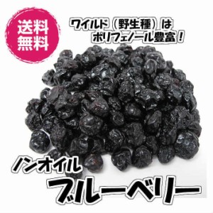 ノンオイル　ブルーベリー　アメリカ産 500g×２ 野生種 ドライフルーツ 送料無料（ブルーベリー５500g×２）チャック袋 ワイルドブルー