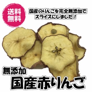 無添加りんご 赤りんご 砂糖不使用 40g／20gパックが2袋入り ドライフルーツ 送料無料 国産 （赤りんご20g×2P　FSY）お試し りんご リン