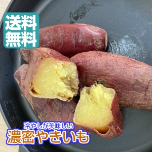 冷やし　濃密やきいも 720g／240gパックが3袋 送料無料（冷蔵　濃密やきいも×3P）青果 無添加　冷蔵  食べきりサイズ 焼き芋 国産 紅は