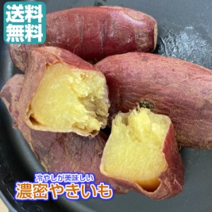 冷やし　濃密やきいも 1.2kg／240gパックが5袋 送料無料（冷蔵　濃密やきいも×5P）青果 無添加　冷蔵  食べきりサイズ 焼き芋 国産 紅は