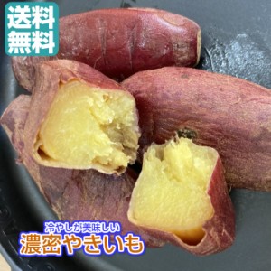 冷やし　濃密やきいも 2.4kg／240gパックが10袋 送料無料（冷蔵　濃密やきいも×10P）青果 無添加　冷蔵  食べきりサイズ 焼き芋 国産 紅