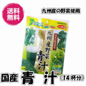 九州産野菜の青汁 28杯分 1袋14杯分が2袋（青汁×2P）青汁 国産 健康補助食品 送料無料 国産 4種の野菜 ケール 大麦若葉 明日葉 ゴーヤ 1