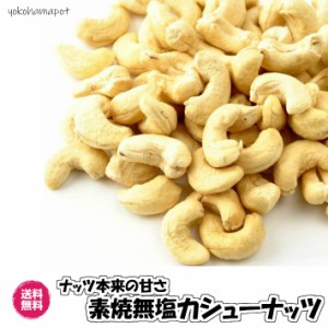 無塩・無油カシューナッツ ロースト 500g ナッツ 送料無料（素焼カシュー500g）木の実 無塩 無添加 nuts チャック袋 カシュー おつまみ 