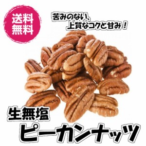 無添加ピーカンナッツ 無塩 生ナッツ 500g 送料無料（生ピーカン500g）ペカンナッツ　ピーカンナッツ 無添加 ローフード チャック袋 業務