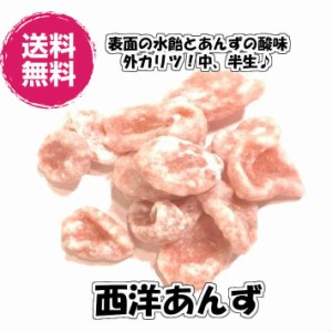 ドライアンズ 飴掛け 西洋あんず 160g／80gパックが2袋入り ドライフルーツ 送料無料（西洋あんず80g×2P） チャック袋 　小分け 　キャ