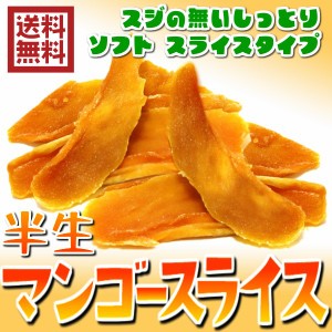 ドライマンゴースライス フィリピン産 140g／70gパックが2袋入りドライマンゴー 送料無料 半生タイプ ドライフルーツ（マンゴースライス7