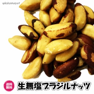 生無塩ブラジルナッツ ペルー産 1kg 食品添加物一切不使用 ナッツ 送料無料（ブラジルナッツ1kg）生ナッツ 無塩 無添加 業務用 お買い得