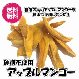 ドライアップルマンゴー 砂糖不使用 500g 送料無料 ドライマンゴー （アップルマンゴー500g） ドライフルーツ マンゴー アップル 無糖 チ