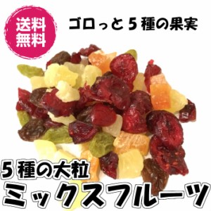 5種のドライフルーツミックス 大粒タイプ 500 送料無料（大粒ミックス500g） ドライフルーツ ミックスフルーツ チャック袋 ドライミック