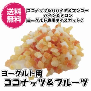 ヨーグルト専用 ココナッツ＆フルーツ ヨーグルト用　300g／100gが3袋入り ドライフルーツ 5種の味（ヨーグルトMIX100g×3P）送料無料 5m