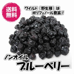 ノンオイル　ブルーベリー　アメリカ産 500ｇ／250gパックが2袋入り 野生種 ドライフルーツ 送料無料（ブルーベリー250g×2P）お試し商品