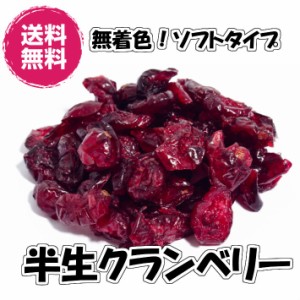 ドライクランベリー 無着色 半生タイプ 500g×2P 1kg ドライフルーツ（クランベリー500g×2） クランベリー 半生タイプ チャック袋 業務