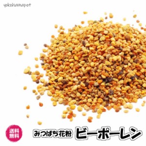 ビーポーレン 1kg スペイン産 食用花粉 スーパーフード 送料無料 （ビーポーレン1kg）ハチミツ はちみつ 純正 蜂蜜 天然 業務用