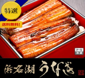 静岡（浜名湖うなぎ蒲焼き2本）長焼き 真空パック凍結 国産うなぎ 本島送料無料 産直