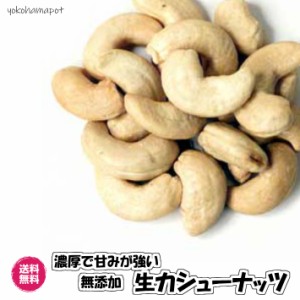 酵素が生きてる 生無塩カシューナッツ 生ナッツ 500g ナッツ 送料無料 （生カシュー500g）木の実 nuts カシューナッツ カシュー ローフー