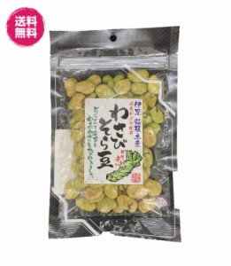 国産わさび使用　わさびそら豆　93gパック10袋 送料無料（わさび豆93ｇ×10P）伊豆　箱根土産 チャック袋 　おつまみ　わさび　