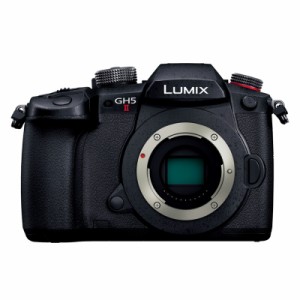 Panasonic パナソニック LUMIX GH5 II ボディ (DC-GH5M2) ミラーレス一眼カメラ【JAN:4549980499771】