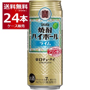 ハイボール 送料無料 宝酒造 焼酎ハイボール ライム 500ml×24本(1ケース)[送料無料※一部地域は除く]