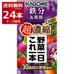 野菜ジュース 送料無料 カゴメ 野菜一日これ一 鉄分 パック 125ml×24本(1ケース) [送料無料※一部地域は除く]