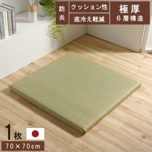 置き畳 約70×70×[4.5cm 単品] 6層 日本製 国産 い草簡単 和室 「ネイラル」  【北海道・沖縄・離島 送料別】