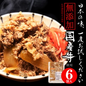 牛丼 冷凍 国産 電子レンジ 対応 牛 無添加 話題の 極うま 牛丼の具 140g 6食セット 父の日 など ギフト にも最適 高級 レトルト