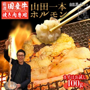 極上 国産 牛 ホルモン お試し 100g 【焼肉用】 牛ホルモン 山田 1本 ホルモン まる腸 小腸 お歳暮 ギフト 高級 国産牛 冷凍