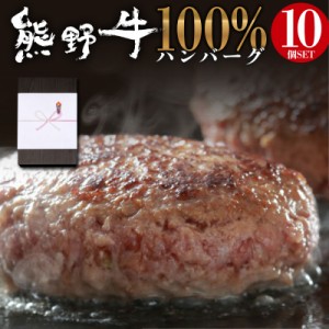 熊野牛 100% ハンバーグ 10食 セット 送料無料 お歳暮 内祝い 贈答品 ギフト に最適 黒毛和牛 和牛 牛 高級 1個100g