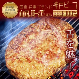 高級 国産 神戸牛 ハンバーグ 山田バーグ プレミアム 1,350g 大きい BIG サイズ BBQ バーベキュー ギフト 冷凍 お取り寄せ