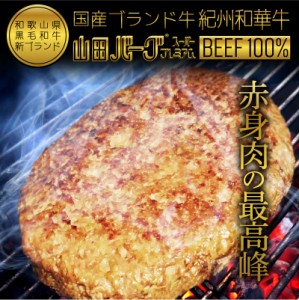 高級 国産 ハンバーグ 紀州和華牛 山田バーグ 1,350g 大きい BIG サイズ BBQ バーベキュー グルメ ギフト 冷凍 お取り寄せ