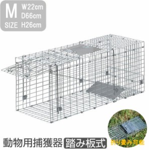 捕獲器 猫 アニマルトラップ トラップ 【Mサイズ】 66×23×26cm 駆除 捕獲 踏板式 捕獲機 動物 罠 保護 庭 農業 アニマルキャッチャー 