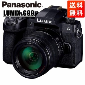 パナソニック Panasonic ルミックス G99 14-140mm レンズキット ミラーレス一眼 カメラ 中古