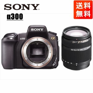 ソニー SONY α300 DT 18-200mm 高倍率 レンズセット デジタル一眼レフ カメラ 中古