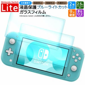 Nintendo Switch Lite フィルム ニンテンドースイッチライト ブルーライトカット フィルム ガラスフィルム 保護フィルム ガラスフィルム 