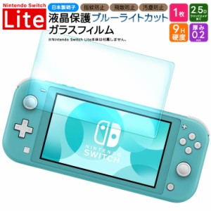 Nintendo Switch Lite フィルム ニンテンドースイッチライト ブルーライトカット フィルム ガラスフィルム 保護フィルム ガラスフィルム 