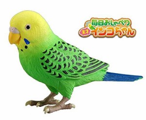 タカラトミー TAKARATOMY 毎日おしゃべり 天才インコちゃん