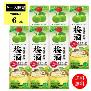 【ケース販売】【送料無料】国産南高梅梅酒 2000ml / 国産梅100% 中埜酒造 リキュール 果実酒  エネルギー30％オフ